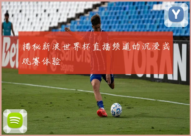 揭秘新浪世界杯直播频道的沉浸式观赛体验