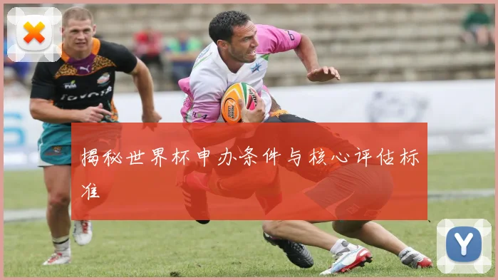 揭秘世界杯申办条件与核心评估标准