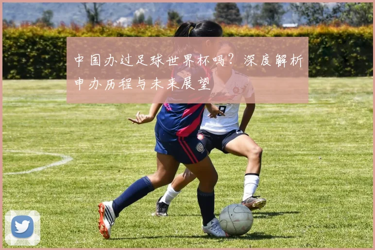 中国办过足球世界杯吗?深度解析申办历程与未来展望