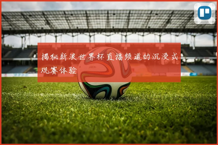 揭秘新浪世界杯直播频道的沉浸式观赛体验