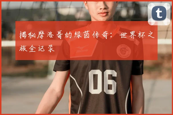 揭秘摩洛哥的绿茵传奇:世界杯之旅全记录