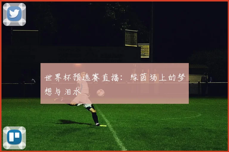 世界杯预选赛直播：绿茵场上的梦想与泪水