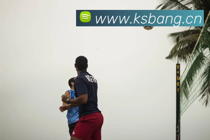 App Interface Preview